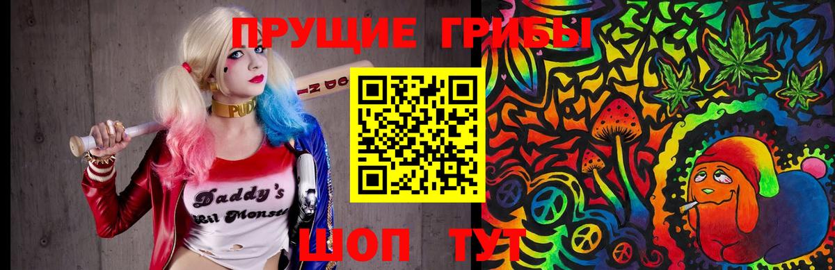 Галлюциногенные грибы Psilocybe  Вход с VPN  Усть-Илимск  Псилоцибиновые грибы мухоморы 